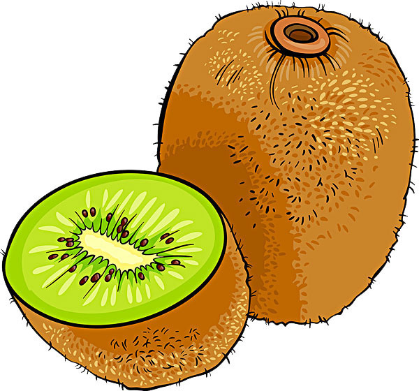 猕猴桃 奇异果 水果 植物 果实 食物 设计元素 水果素材 卡通猕猴桃