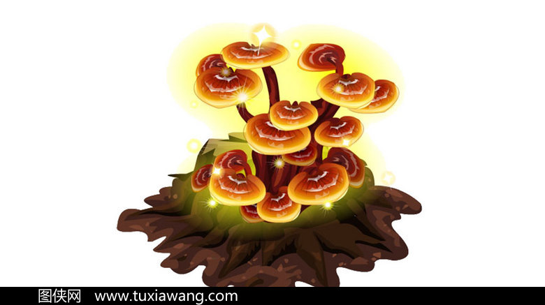 手绘灵芝