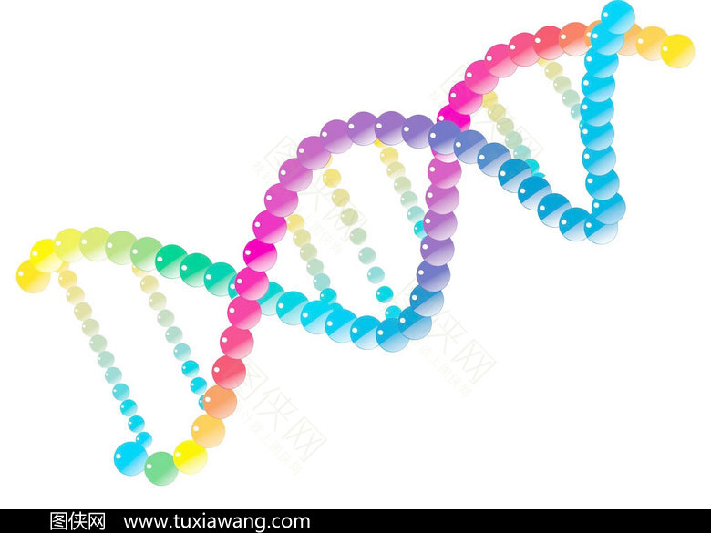 彩色dna分子素材